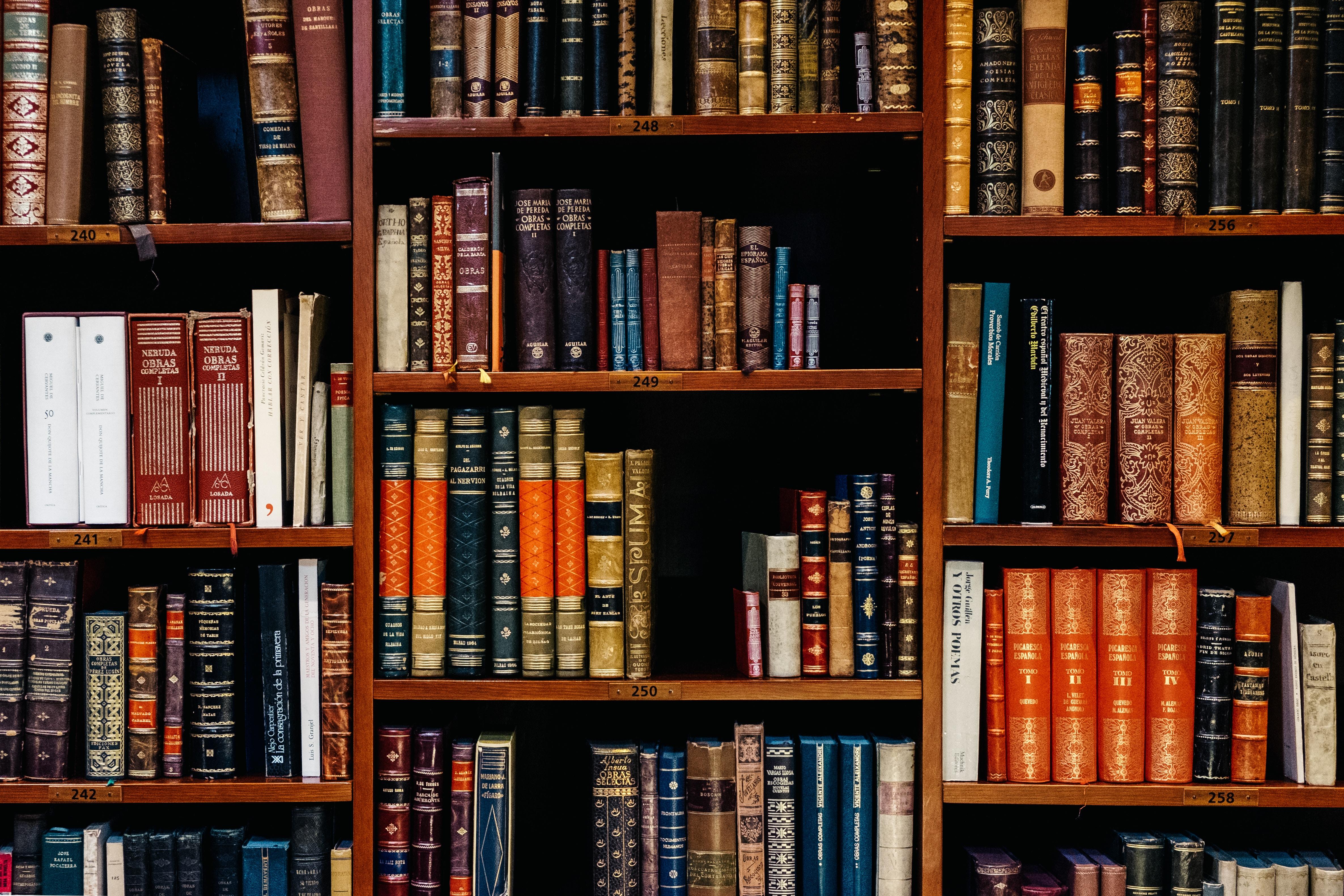 Rows of books sitting on a bookshelf. 