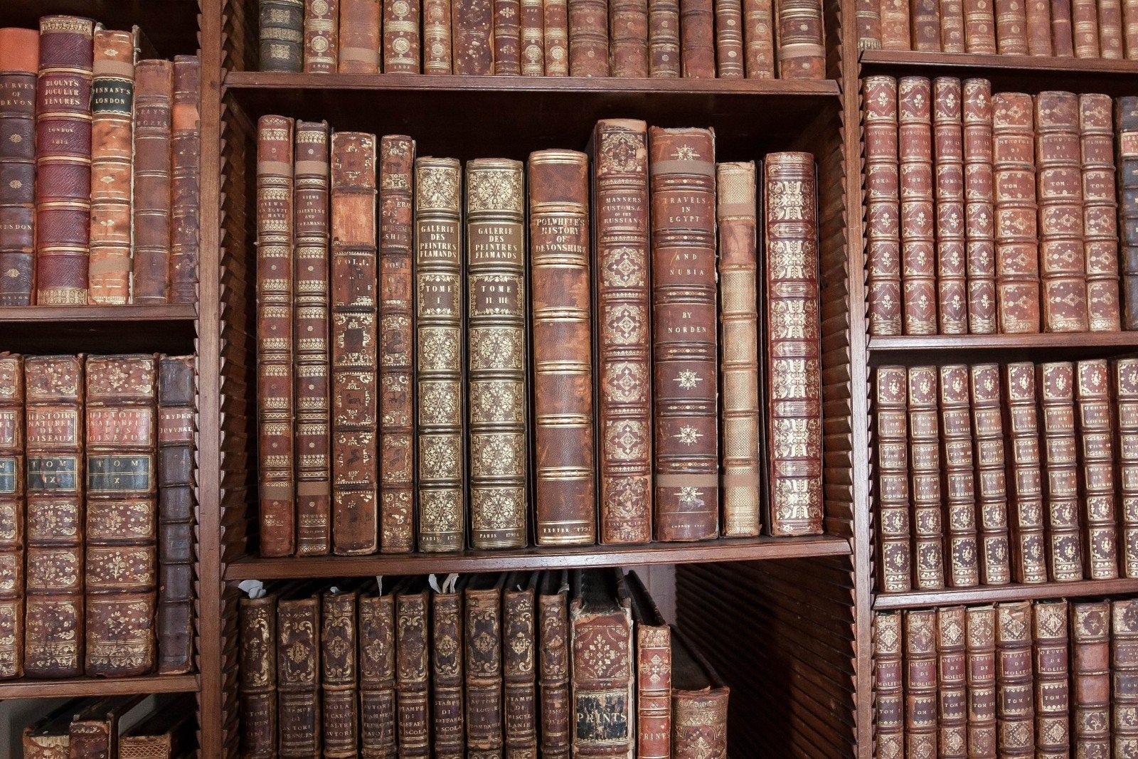 view of a bookshelf with old history books 