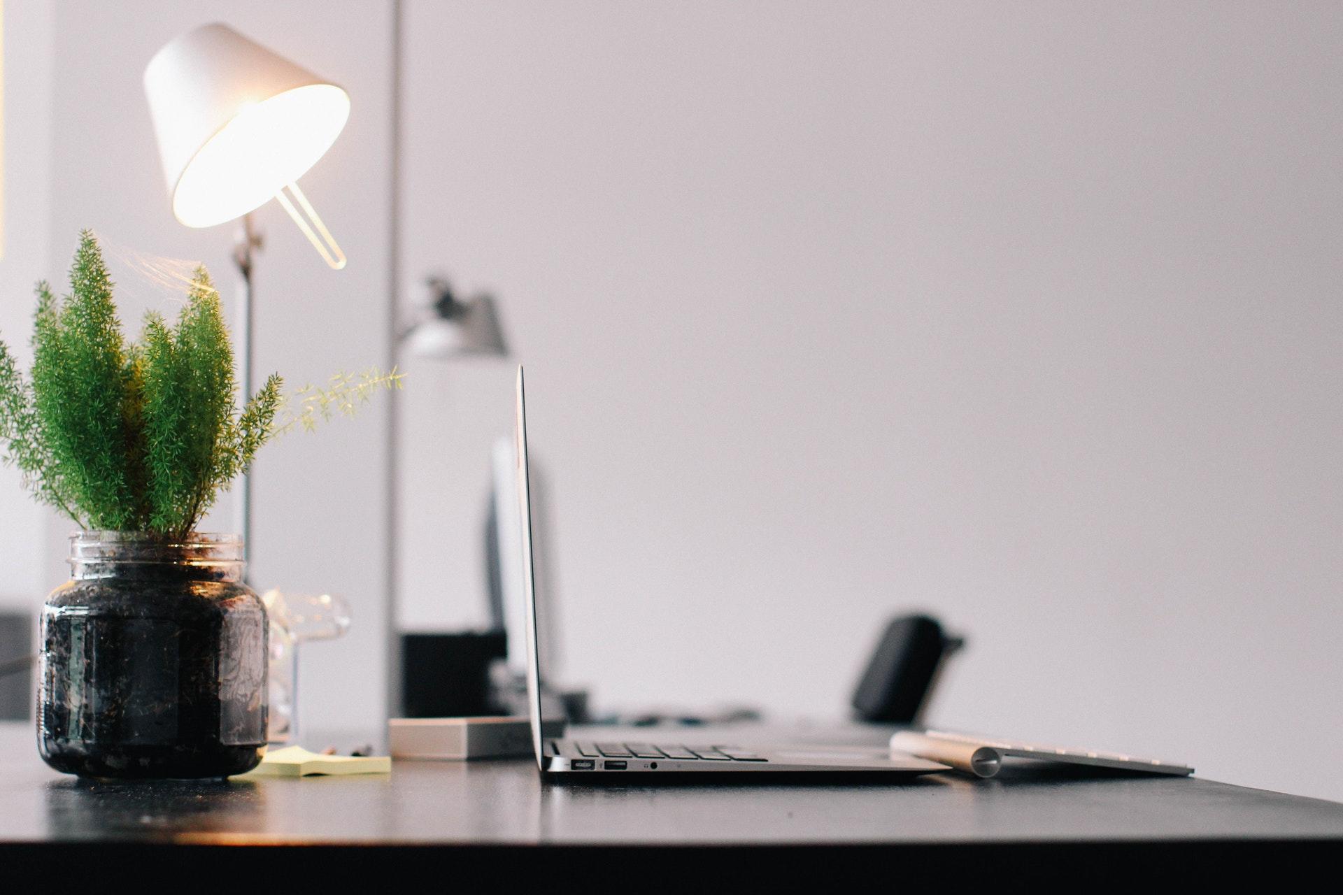 Side view of simple modern desk with laptop, plant, and light.