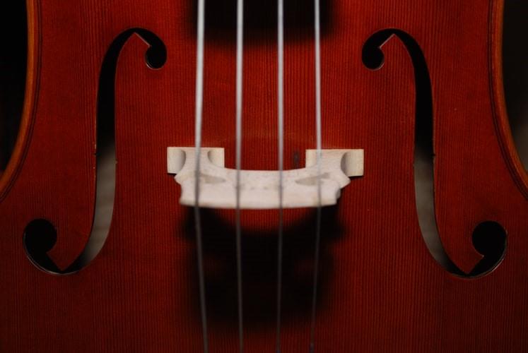 A close-up of a violin, detailing the strings that go through the instrument