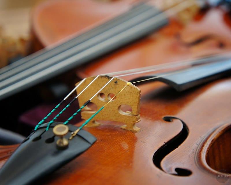 A close-up of a violin. 