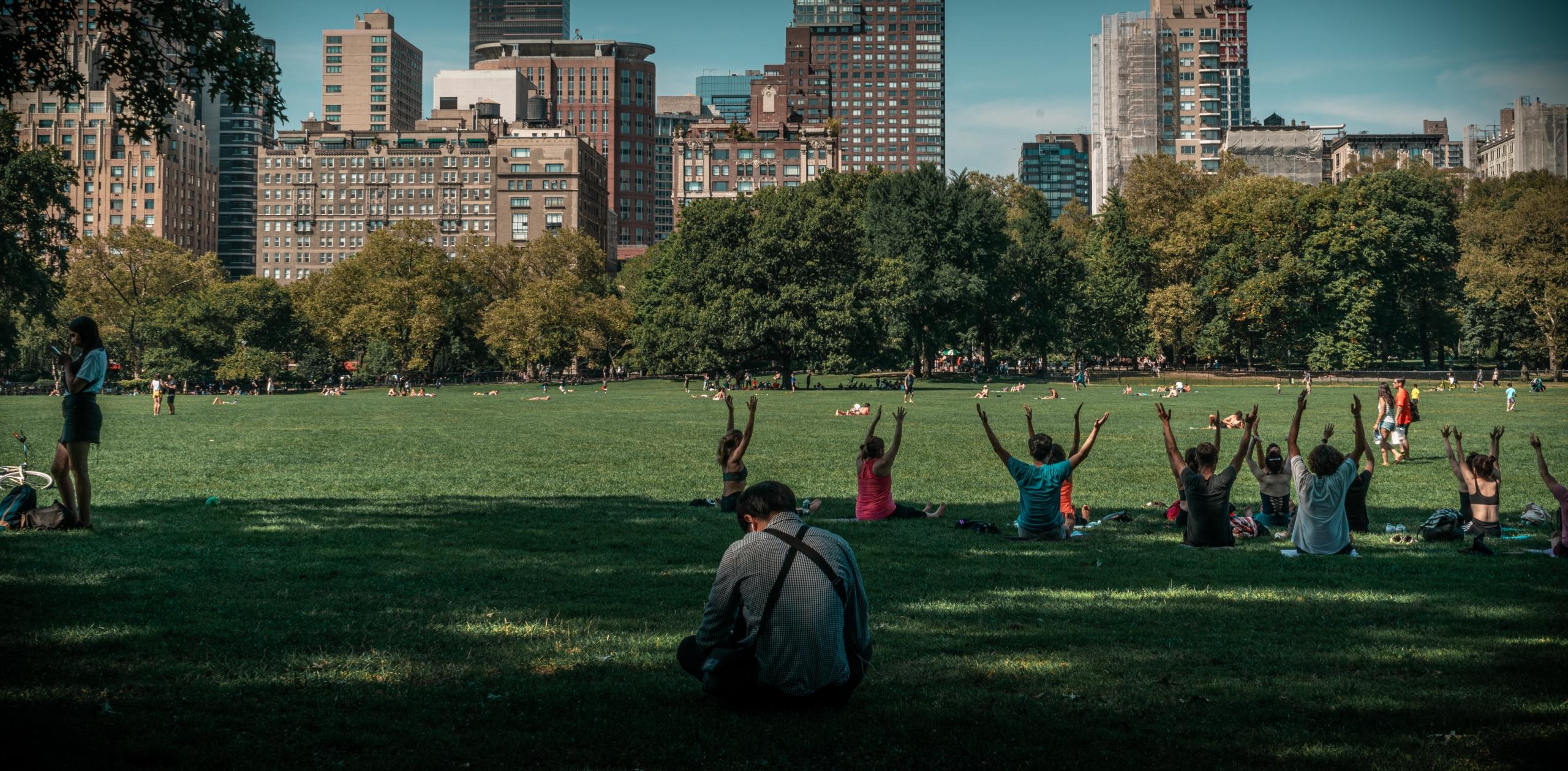 Some people are practicing yoga in the park. 