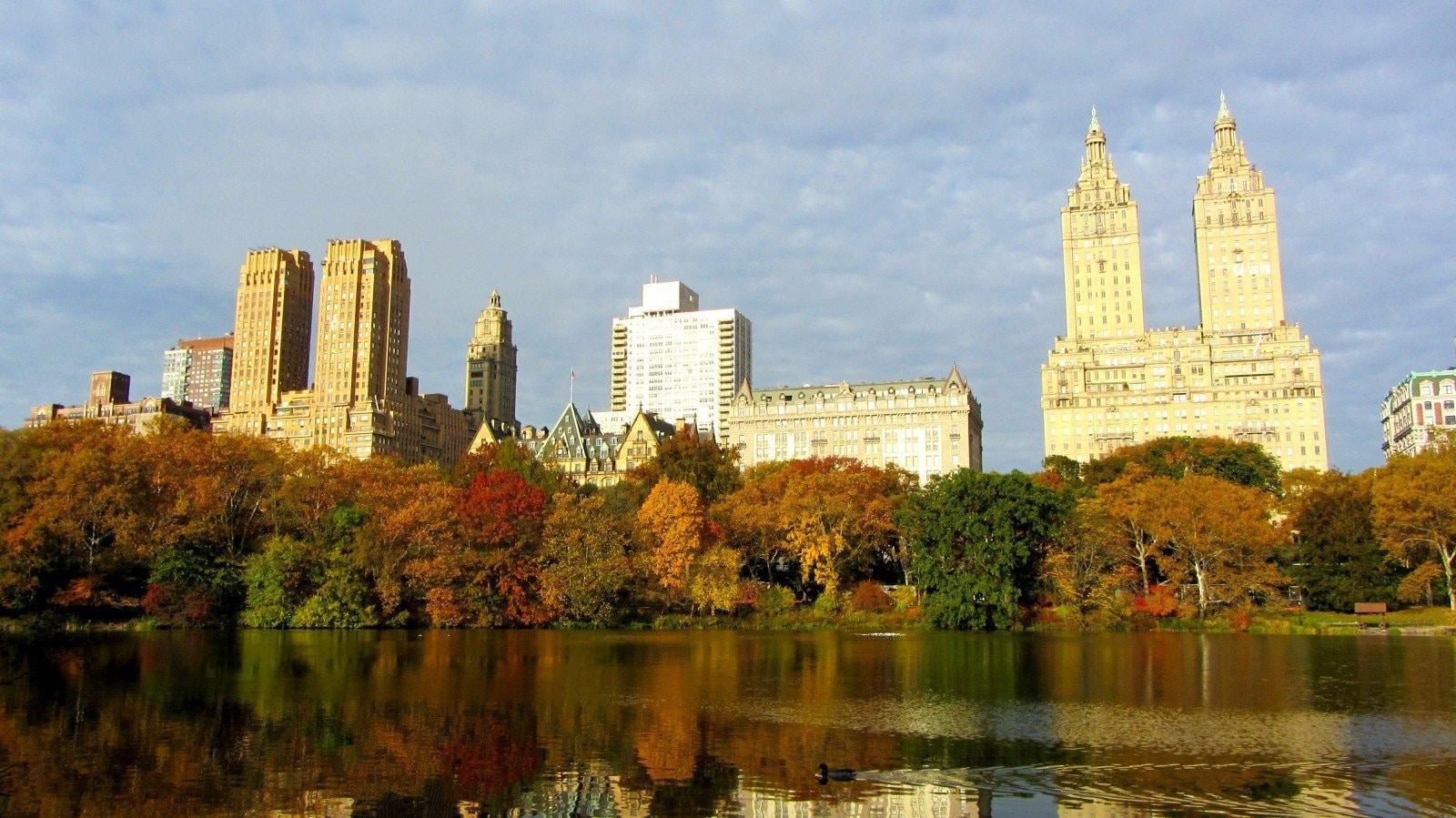 central park viewed in fall during a sunny day