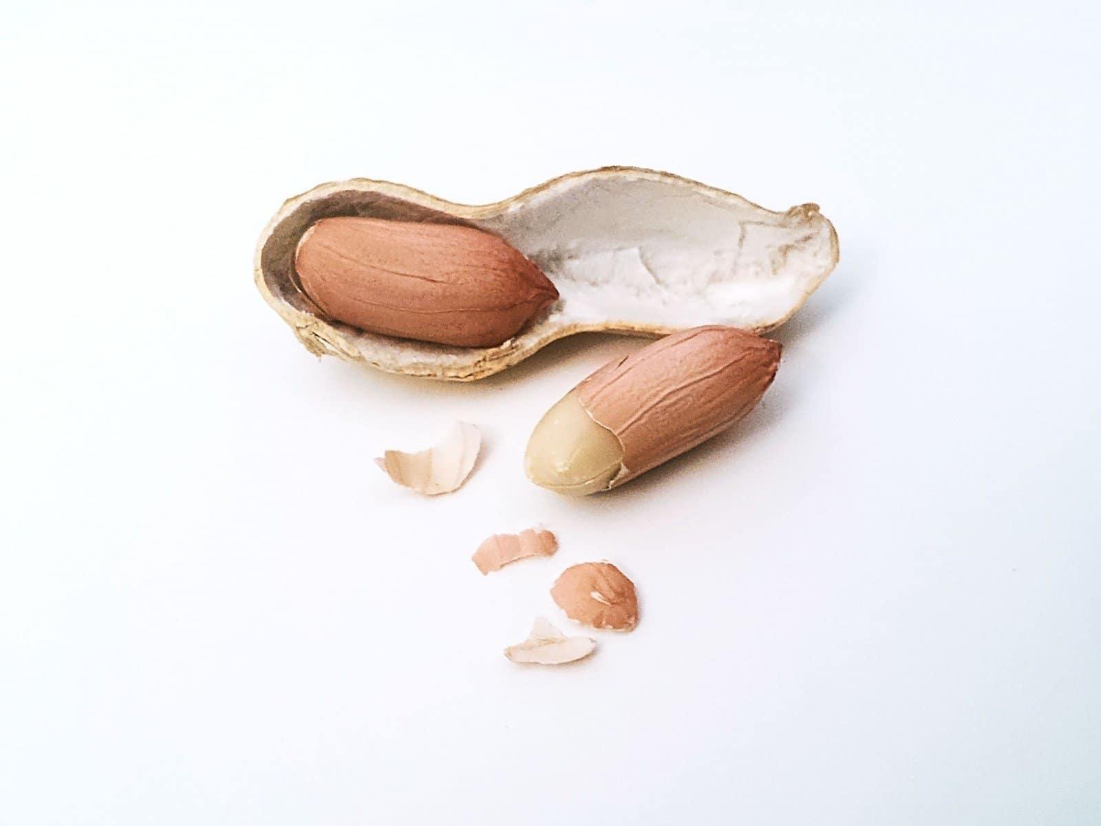 picture of a cracked peanut to express the in a nutshell phrase