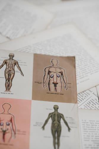 A page with a picture of a human body