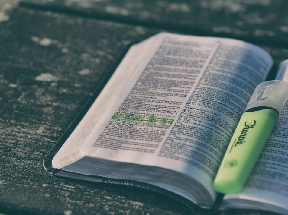 An open book with highlighted text for course revision.