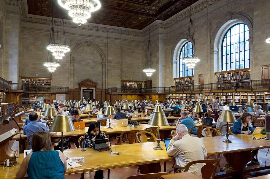 People reading in a quiet New York library
