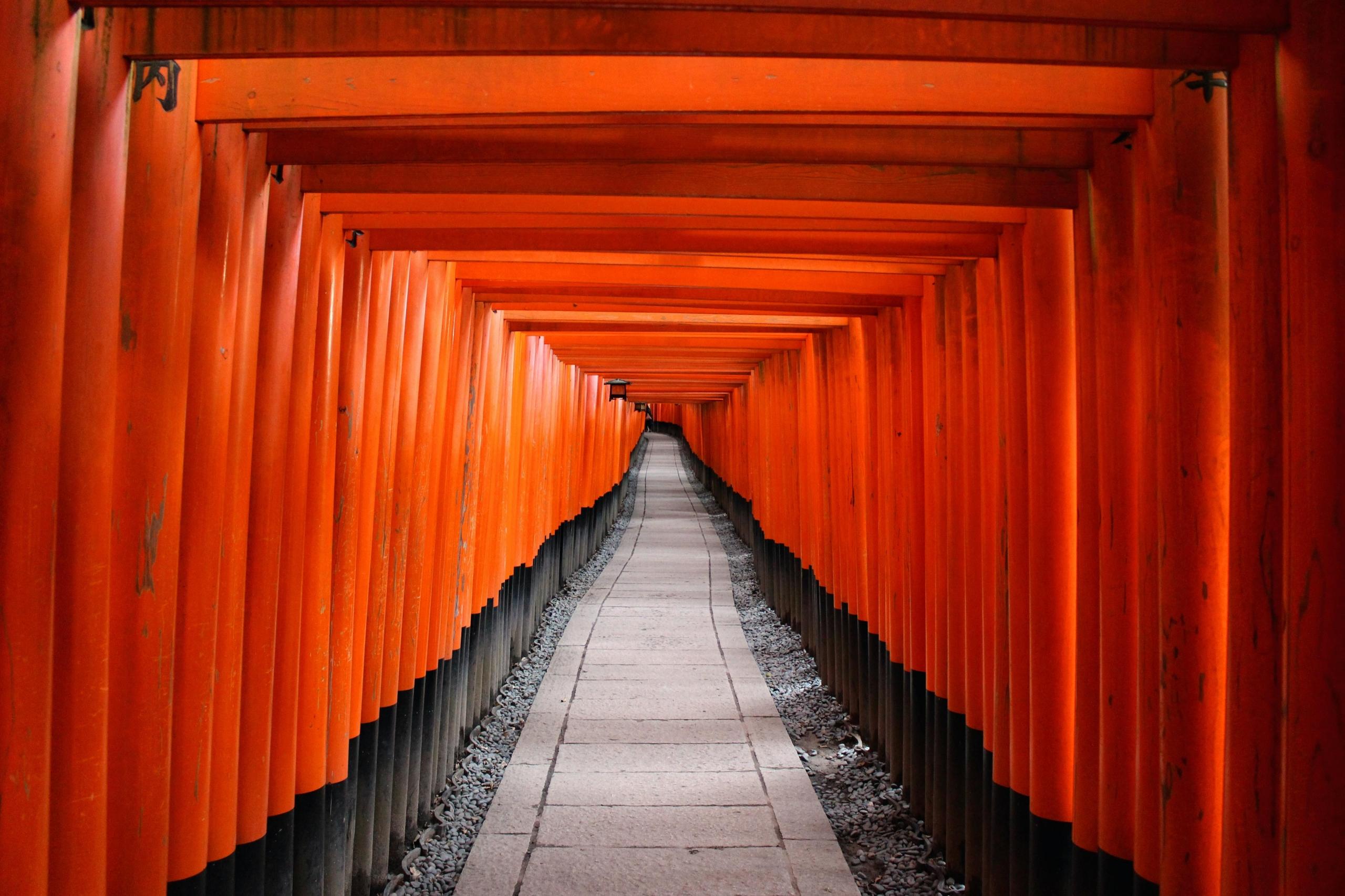 travel to japan