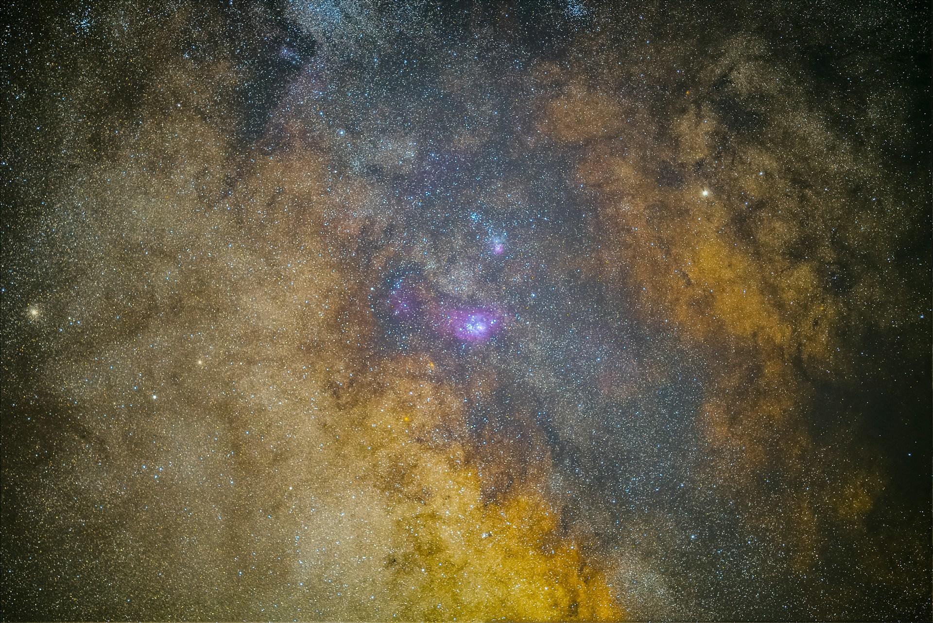 A cluster of stars
