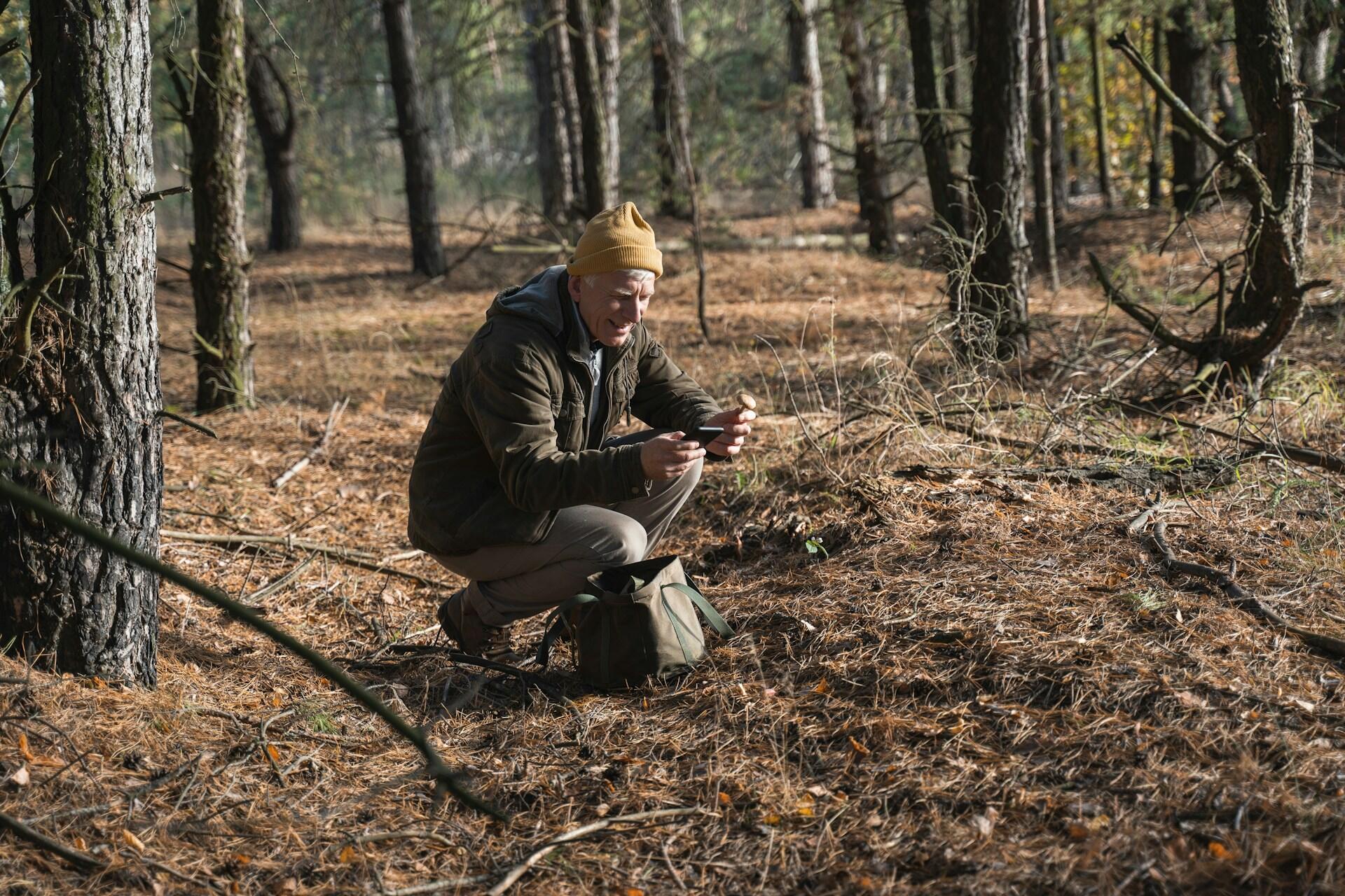 A man kneeling looking at his phone in the forest.
