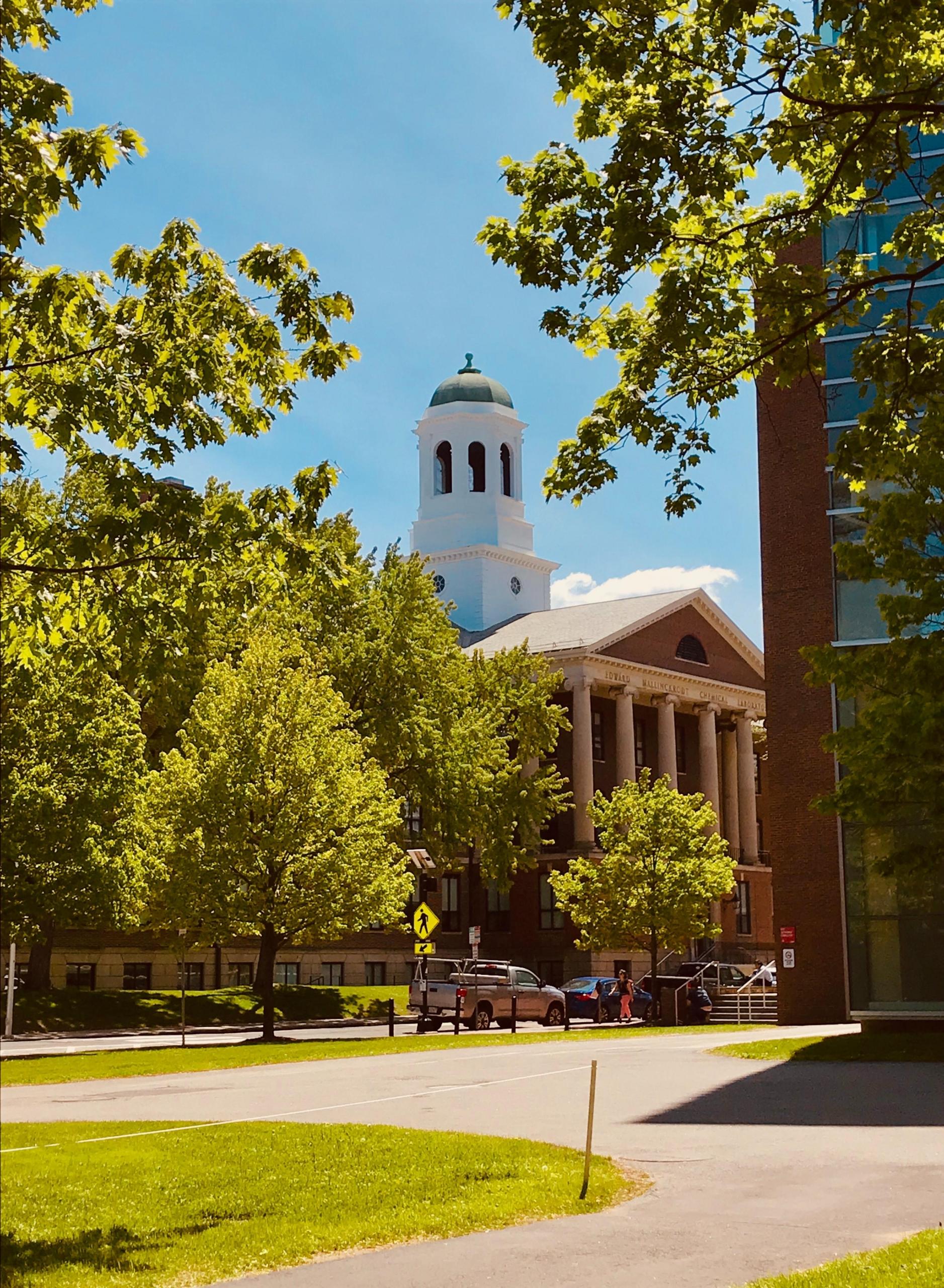 harvard campus