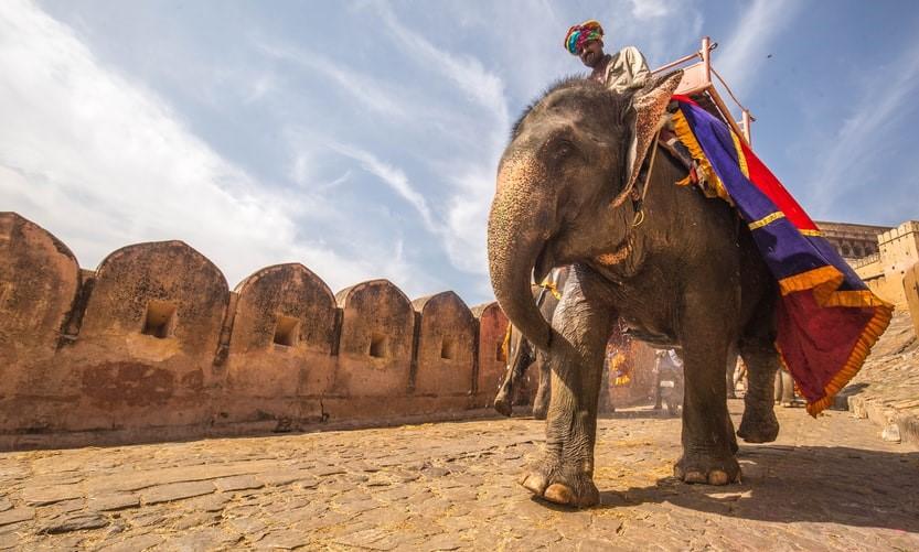 A man sits atop an elephant at the Amber Palace in Jaipur, India. Jaipur is home to two UNESCO World Heritage Sites and is known as the Pink City in remembrance of the Maharaja Ram Singh painting the whole city pink to welcome Queen Victoria in 1876. Learning Hindi is a great way to gain an authentic historical education of India.