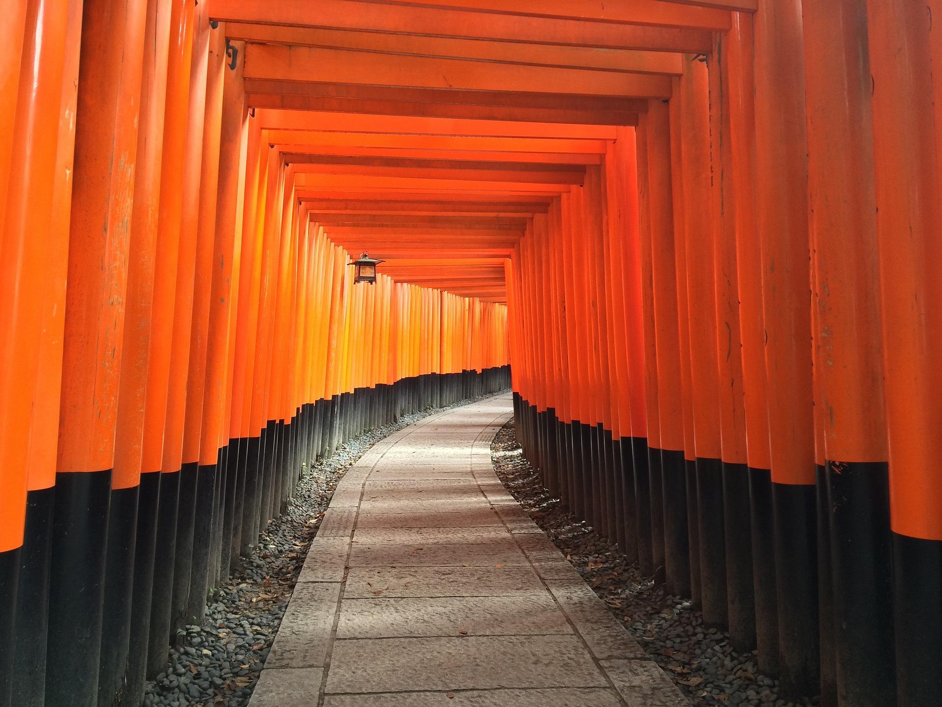 A paved pathway inside a Japanese shrine bordered on both sides by bamboo walls. The resources used in traditional Japanese buildings focus on sustainability and scarcity - two elements of discipline in Japanese traditions