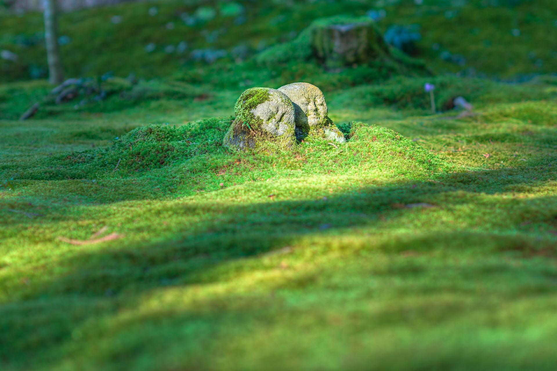 A Japanese grass field with two rock-cut figures of human faces denoting ancestral spirits. Physical depictions and tributes serve as tools to gain favor from Japanese gods. The most commonly found ones are the Inari fox tributes