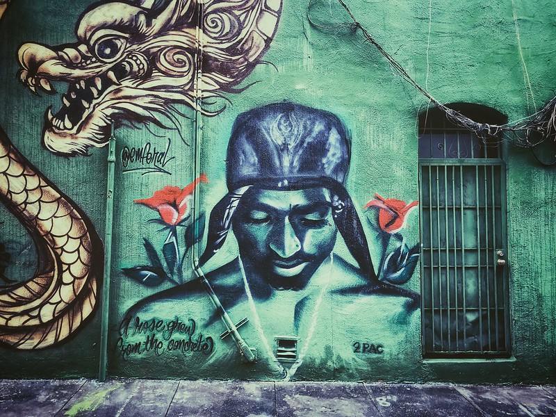 revolutionary hip-hop artist