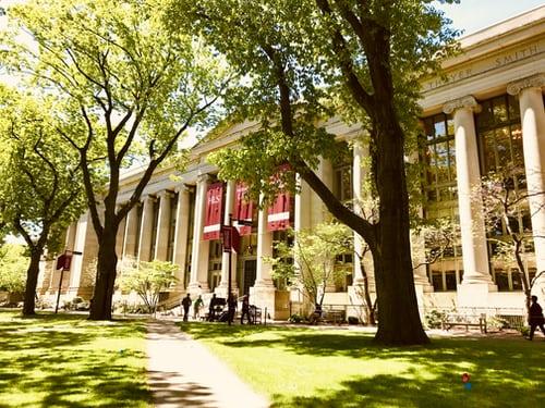 White exterior of a university during daytime with trees providing shade. With a renowned board of directors, celebrity alums, and industry stakeholders, American colleges are a great place to start your career and find a prospective network