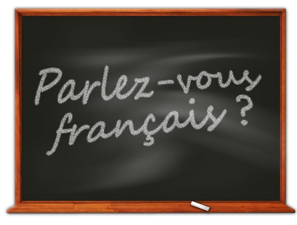 A blackboard with a question written in French. It reads parlez-vous français, which translates to "do you speak French" in English. Your French language lessons and guide will give you enough material to learn and revise. Once you have gone through the basics, understanding such sentences will come second nature