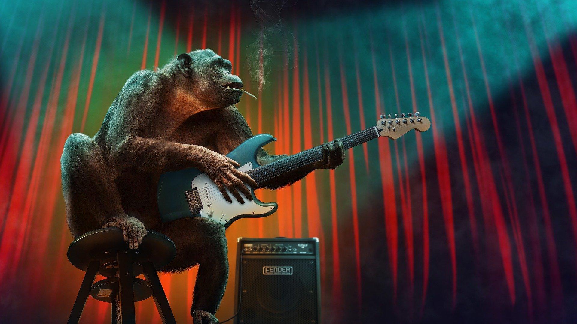 A chimpanzee smoking and playing an electric guitar while sitting on a stool on-stage. There are red drapes behind it. If you want to sing like a professional and take singing training, the first rule is to cut back on smoking