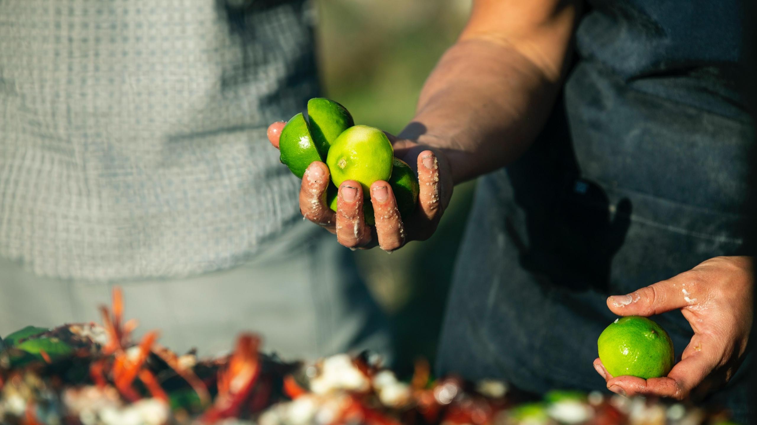 A man’s hand holding up cut-up limes, wearing a black apron. The top chefs in the USA handpick their ingredients regardless of what they are making. One of the reasons that they are considered top chefs is because of their dependence on quality ingredients