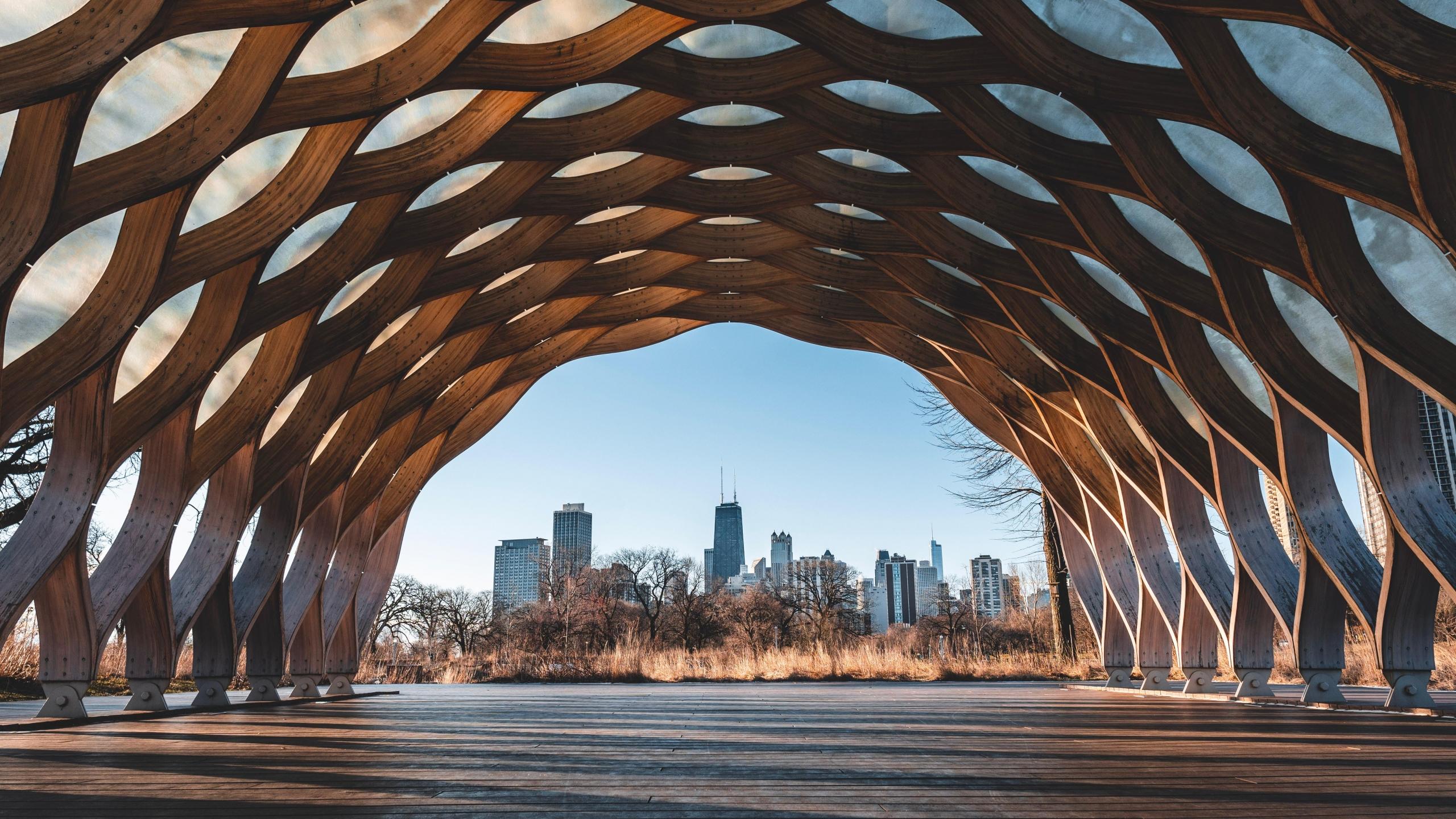 View of Chicago from a distance