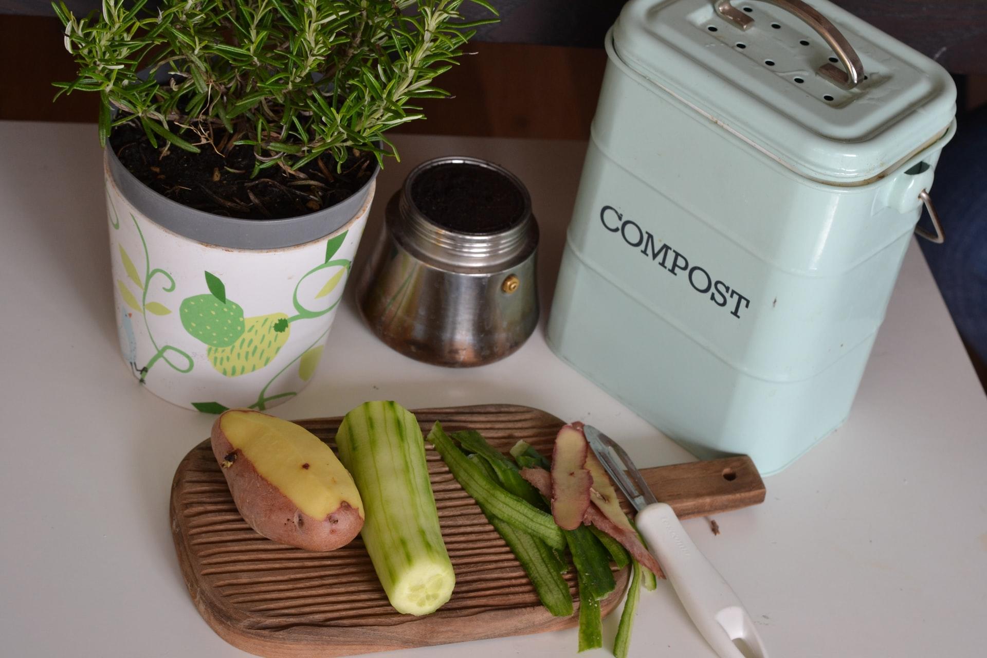 Wasted vegetables used to make compost