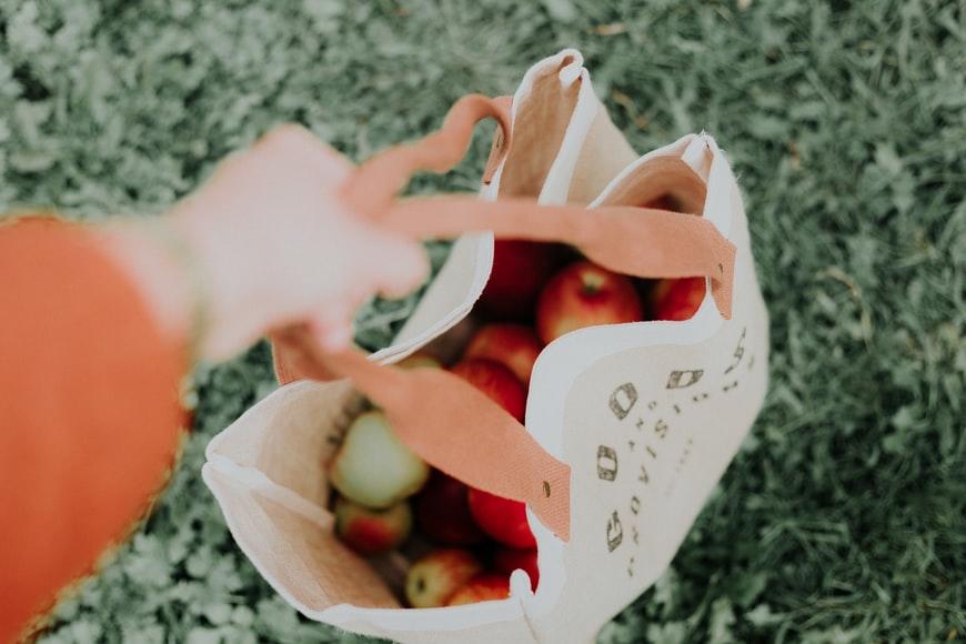 Someone carrying a bunch of fruits in an eco-friendly bag
