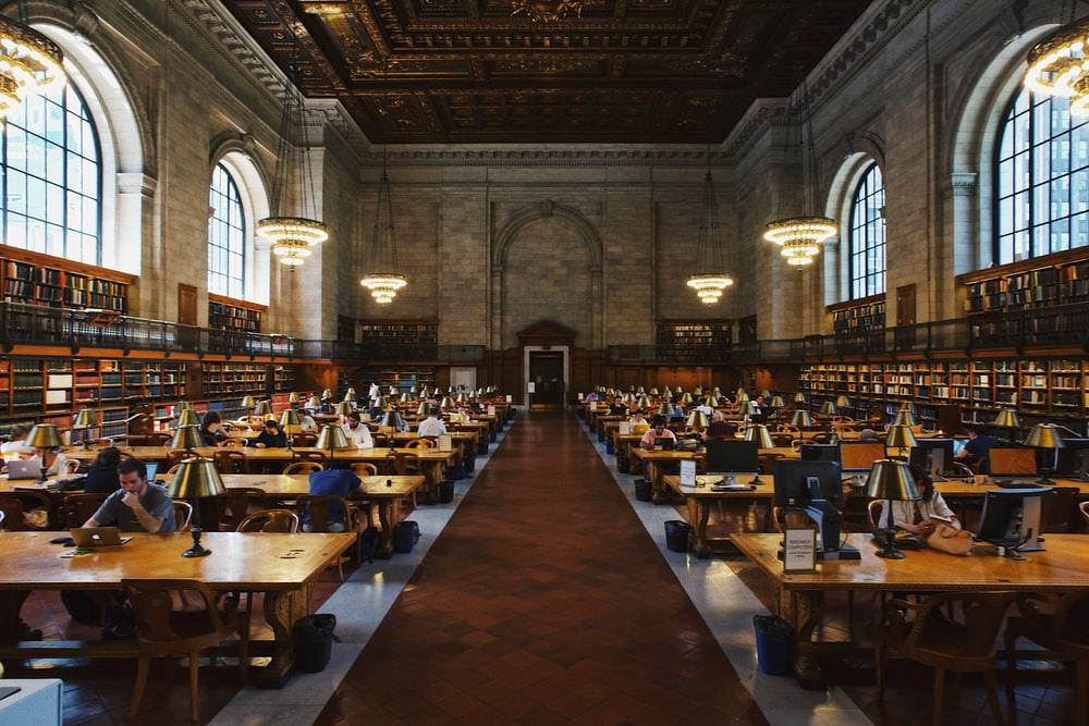 Foreign and native students studying in a library