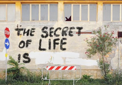 Graffiti artist expressed spray-painted their thoughts on a wall.