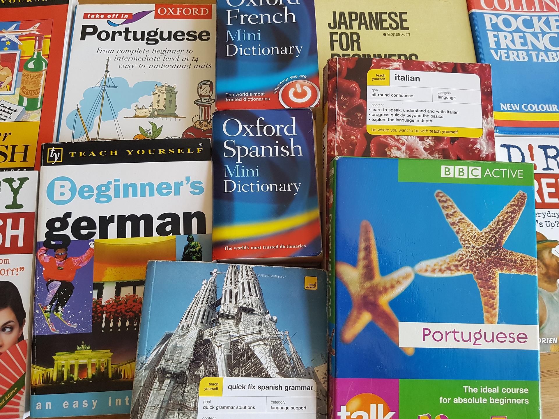 Various starter books and dictionaries of Spanish, German, Portuguese, and Italian.