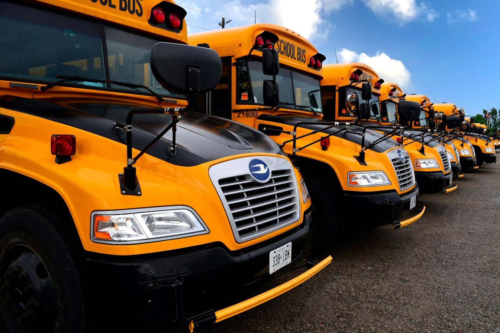 A fleet of school buses.