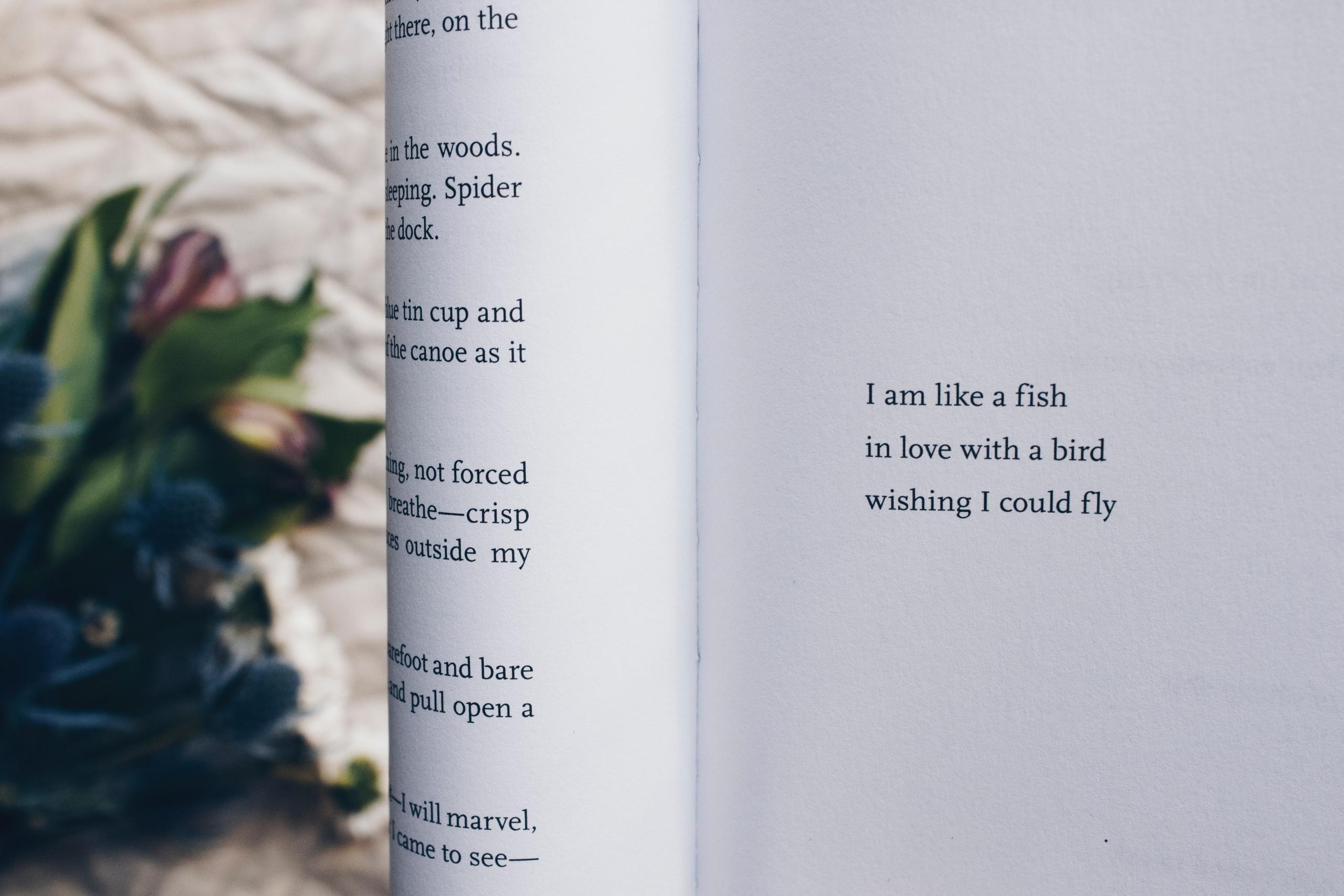a photo of a poetry book