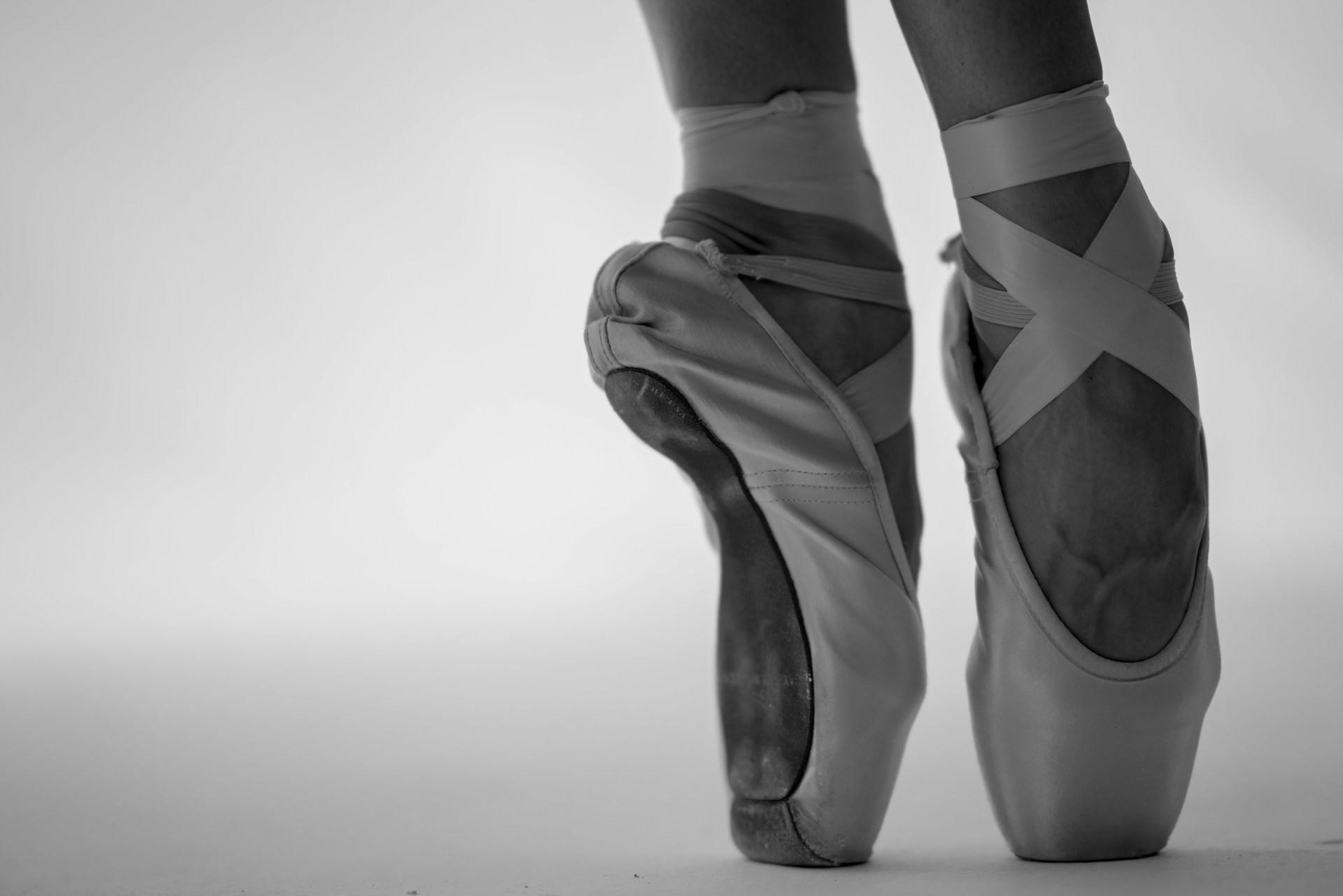 Point ballet shoes