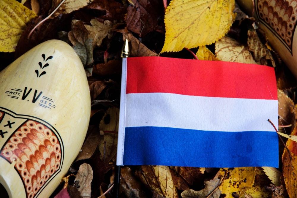 The Dutch flag on a pile of leaves