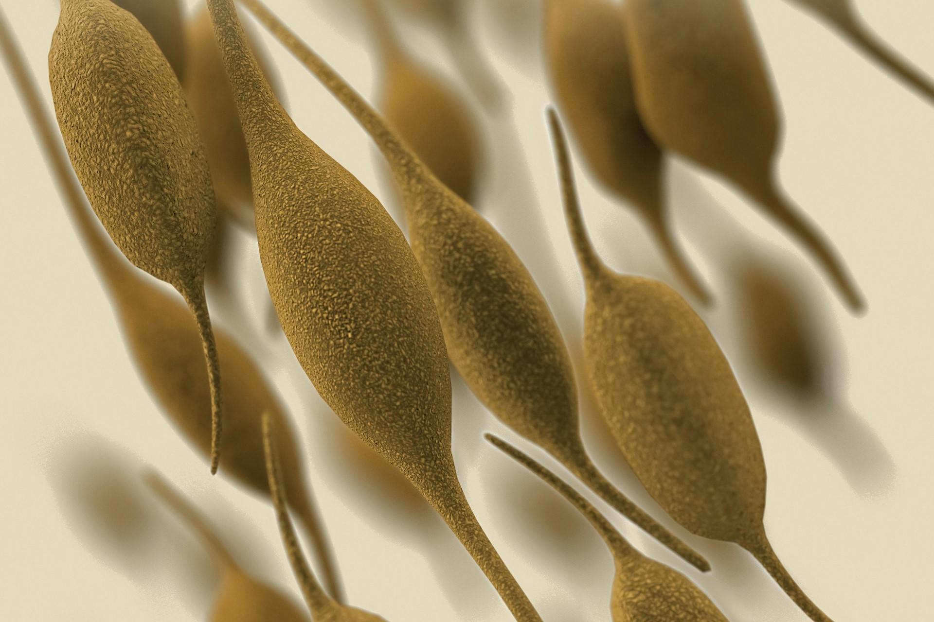 A bacterium that pneumonia.