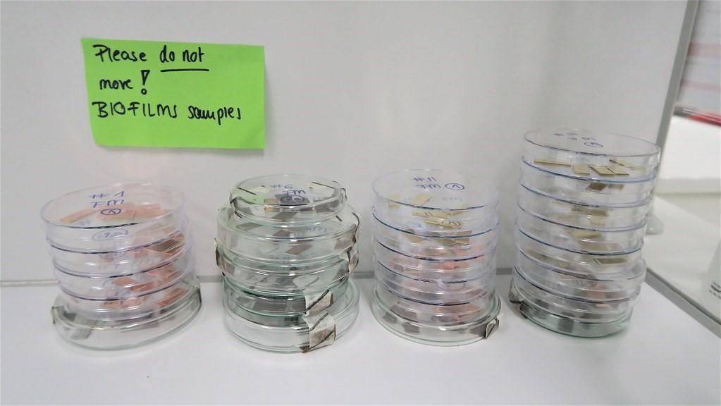 Biofilm samples stacked on a counter with a note on top that read, ‘Please Do Not Move!’