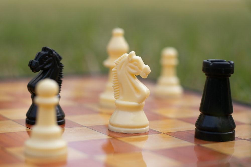 White and black horses on a chessboard