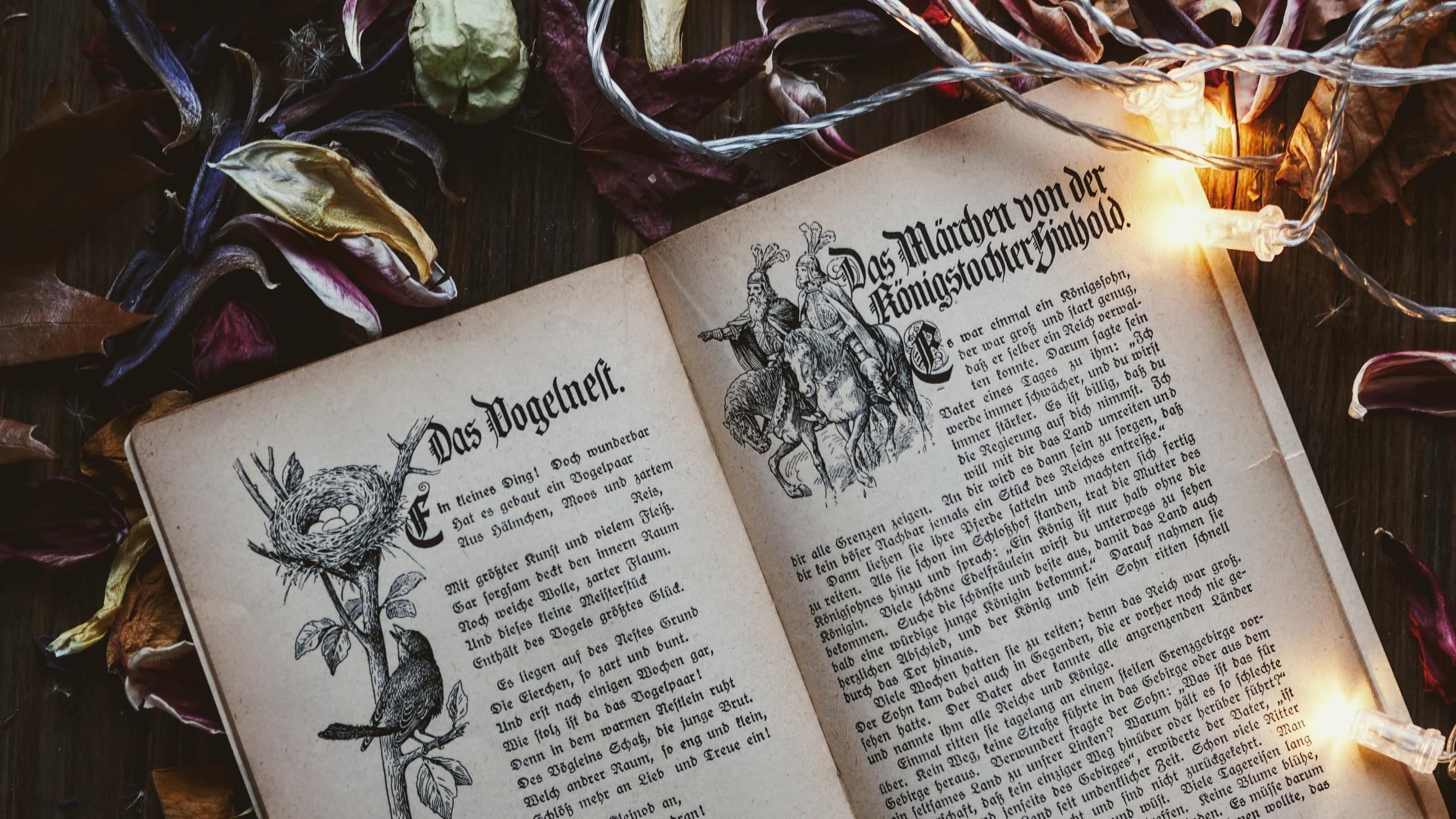 A vintage novel book in the German language