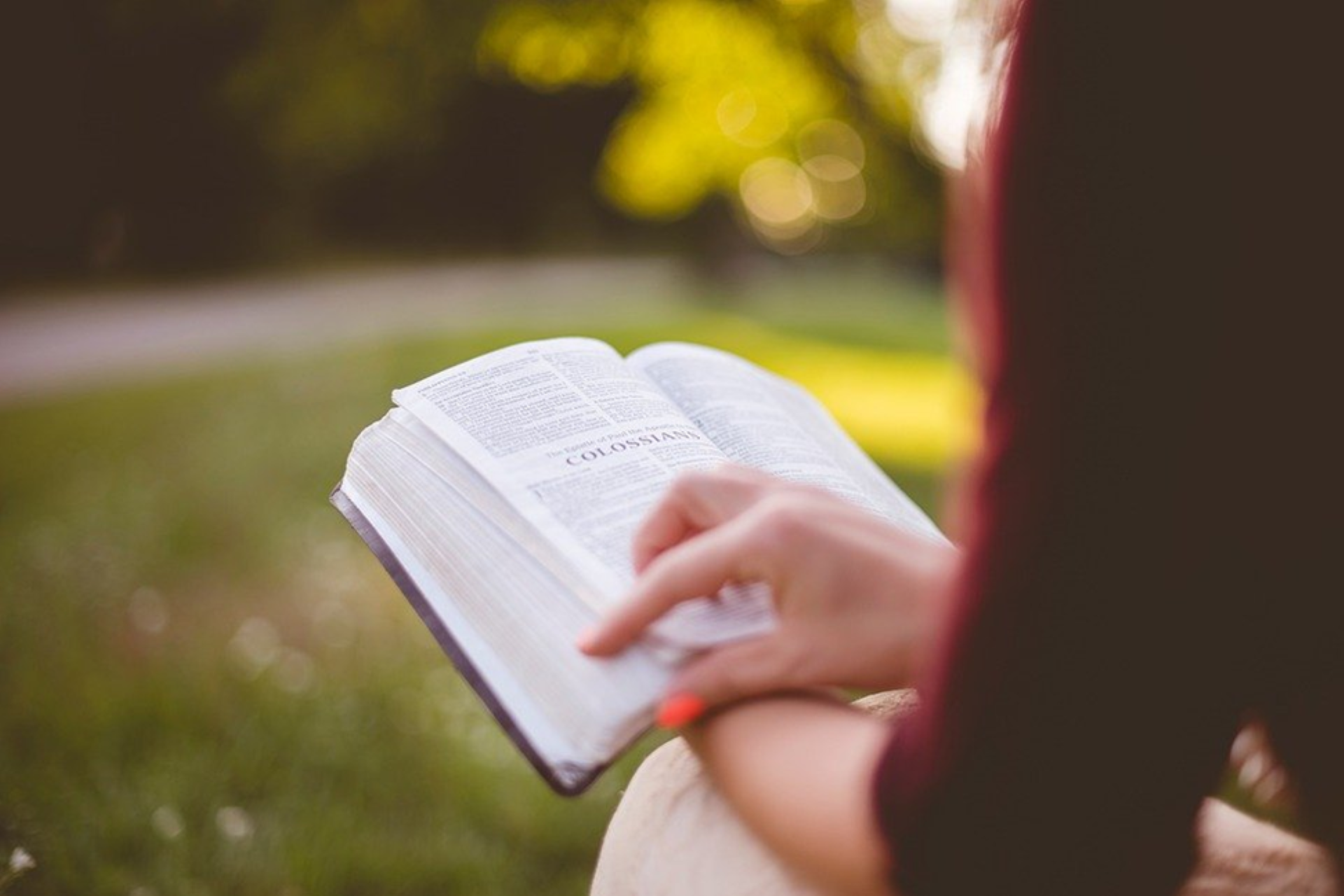 A lady reading a book