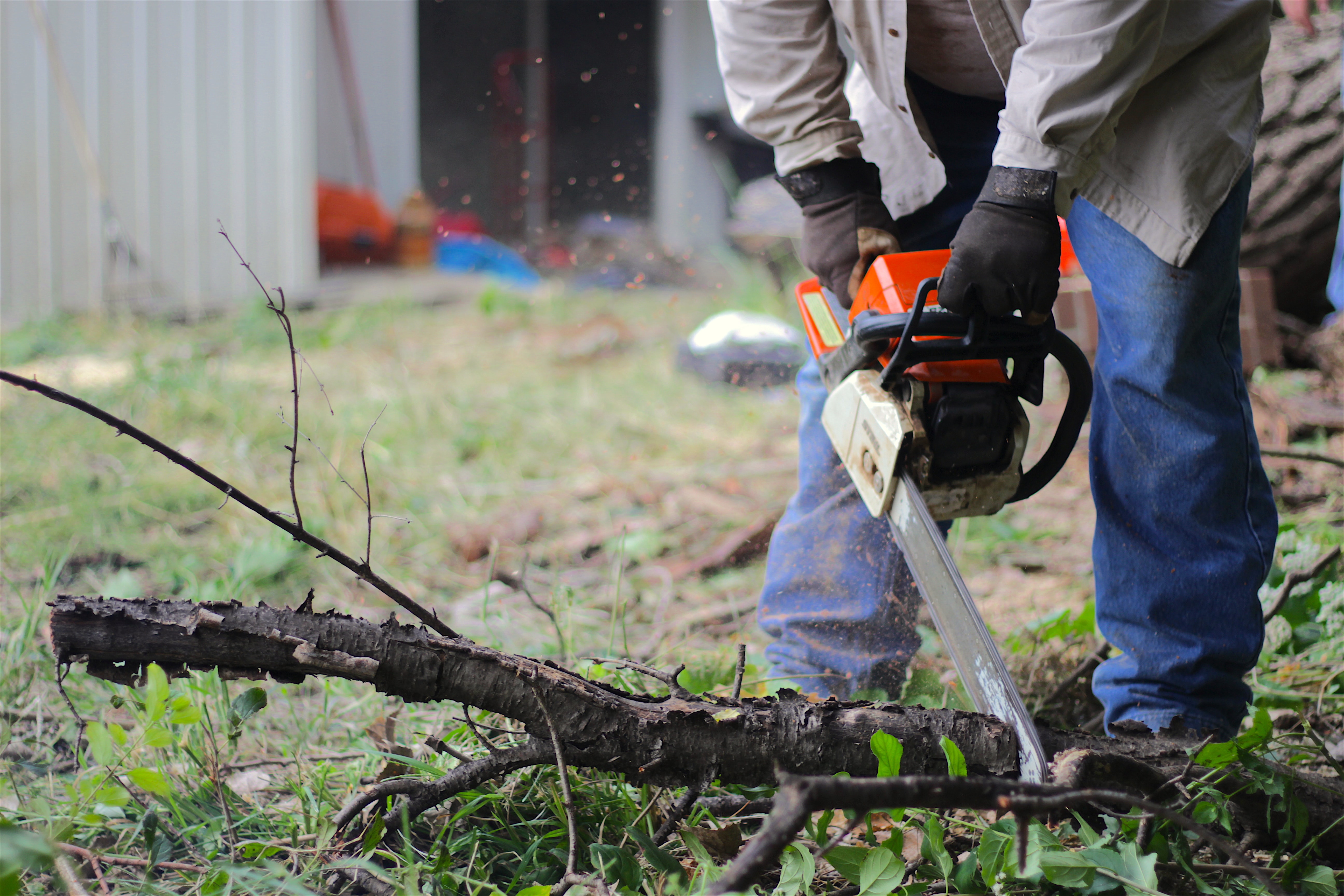 A worker using a chainsaw to cut a branch.
