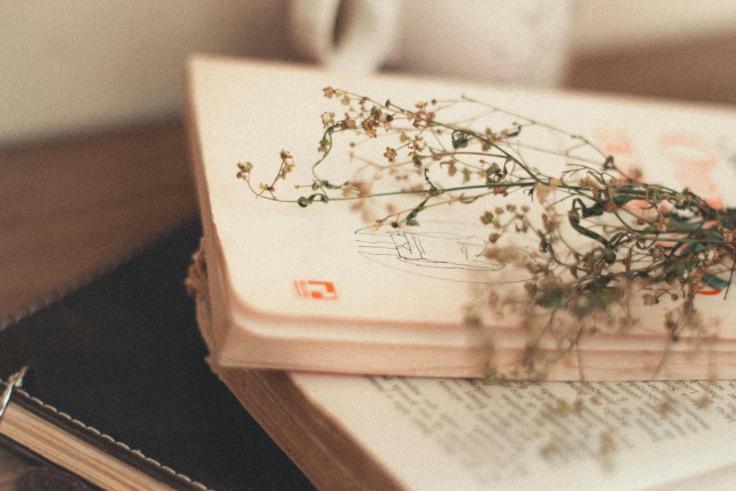 Green leaf on a pile of books