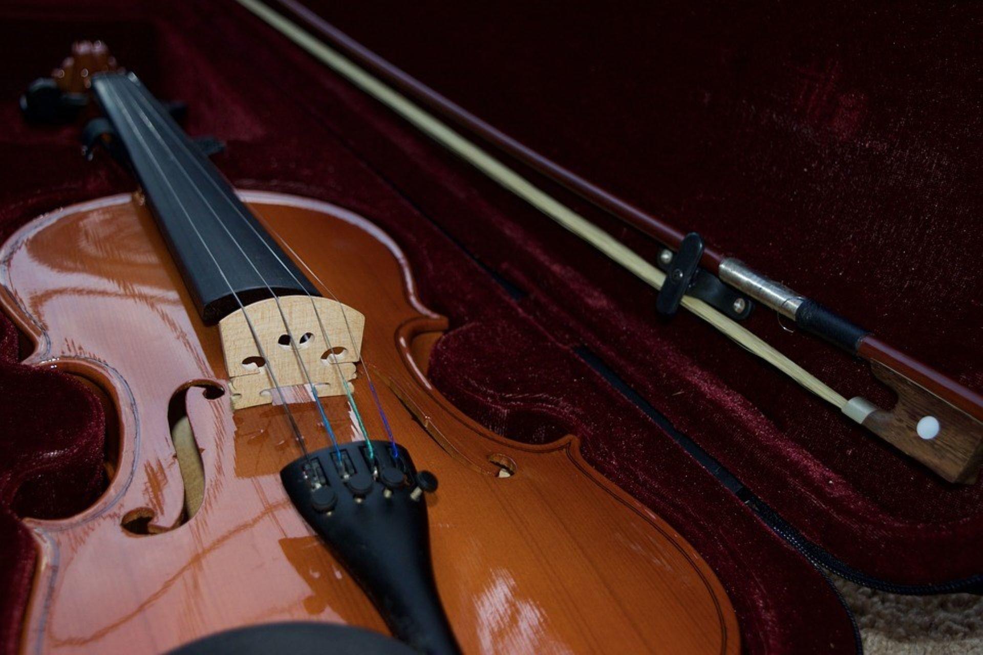 A violin stowed in a case