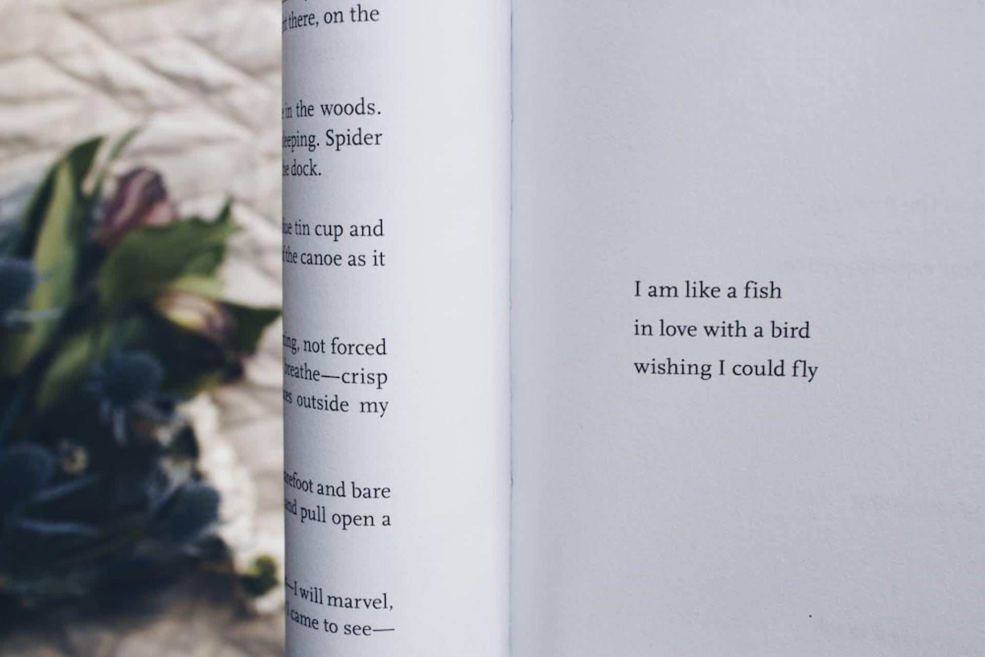A haiku in a poetry book