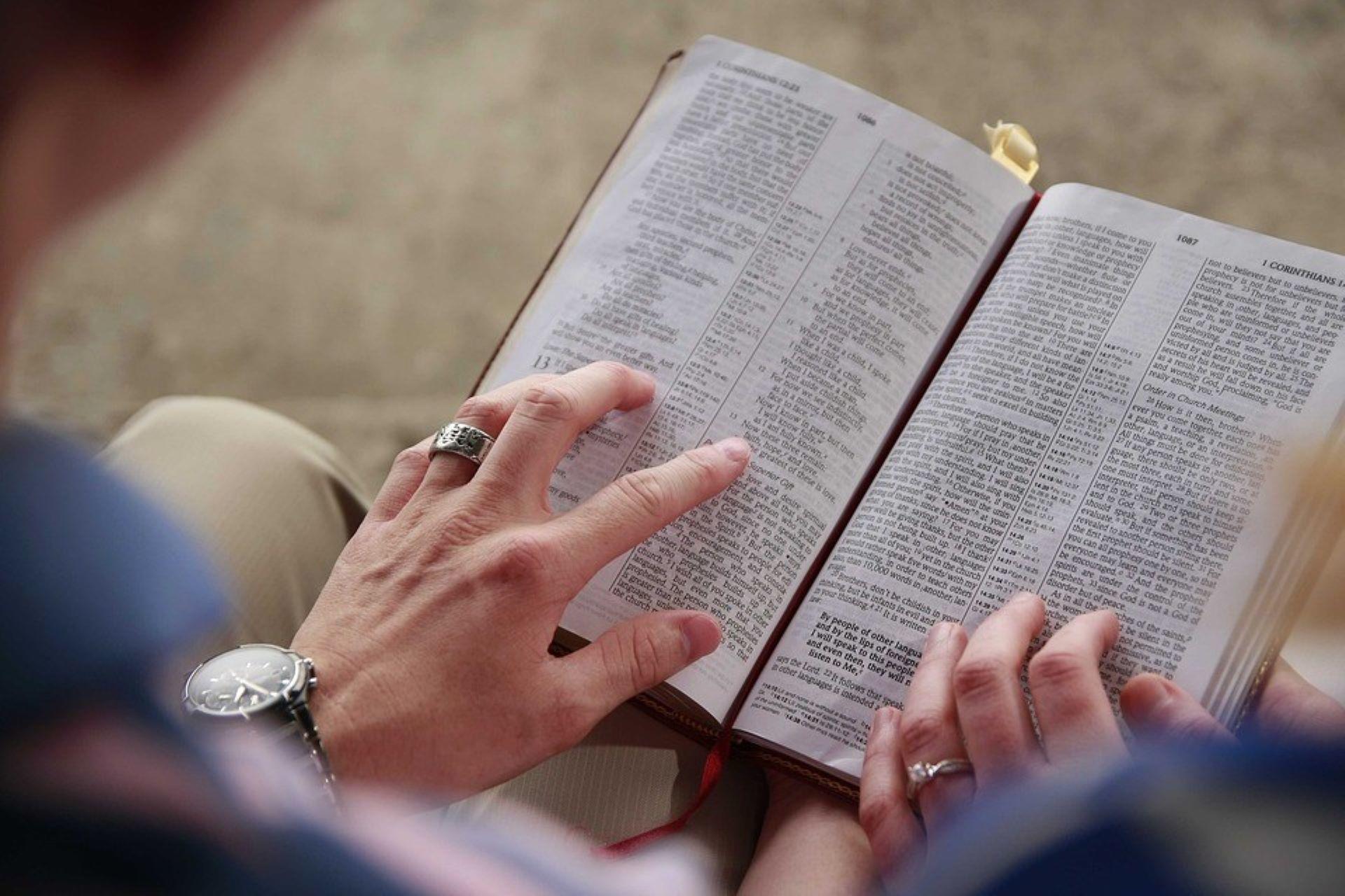 A person reading a book.