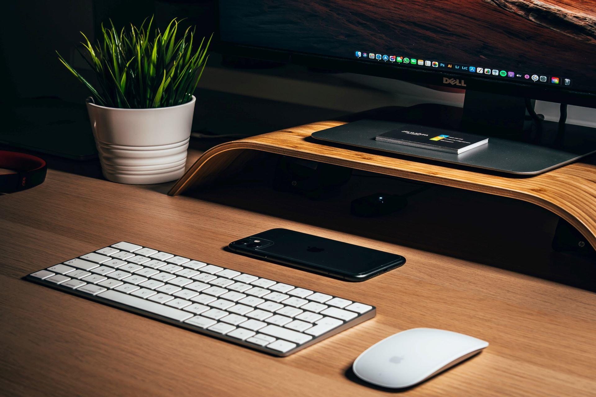 Model of a landscape designed in Rhino