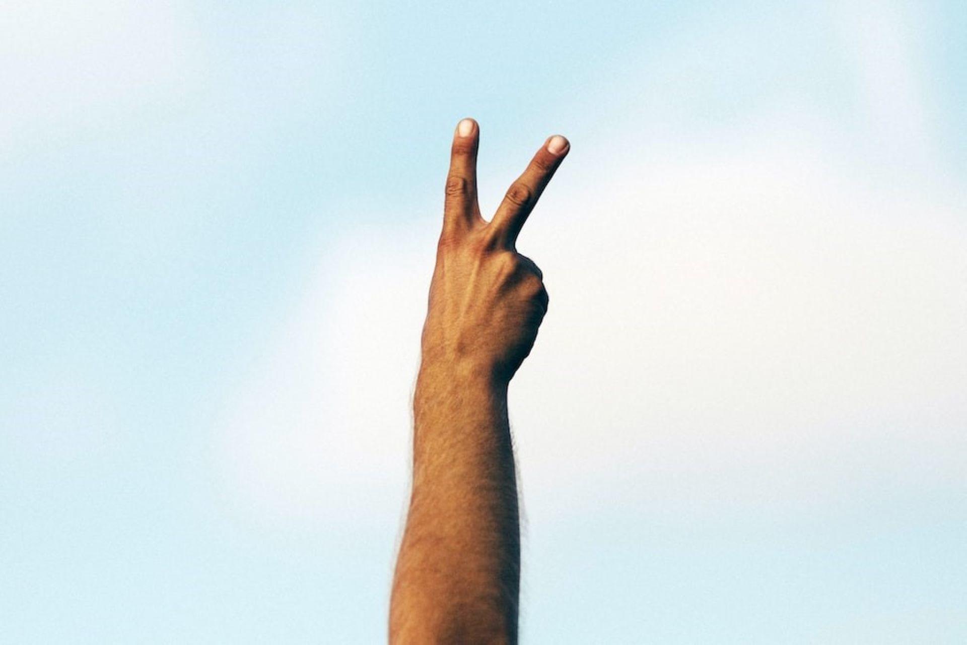 A hand showing a peace sign.