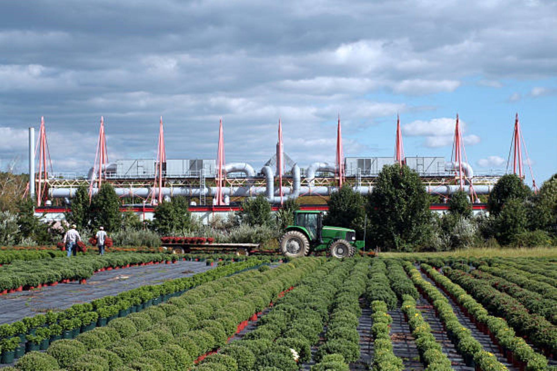 A field of plants in front of a biotechnology plant