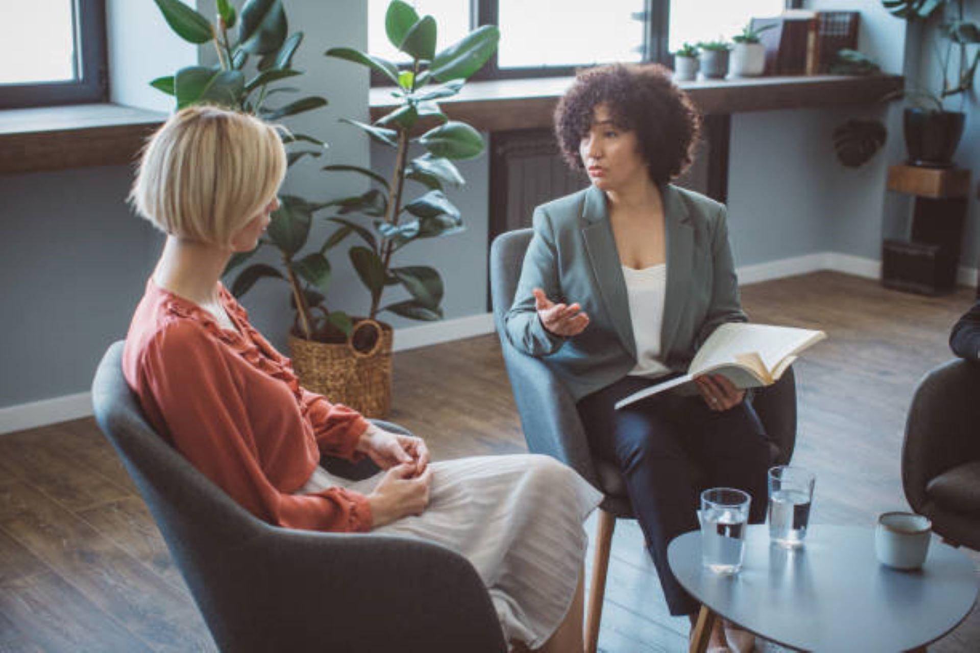 An author in discussion with her publishing agent