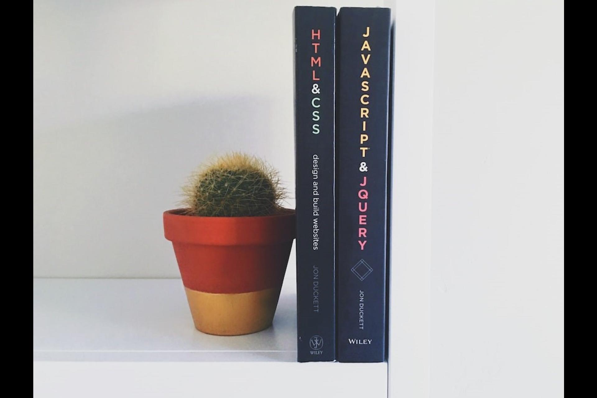 Two books on JavaScript alongside a flowerpot.