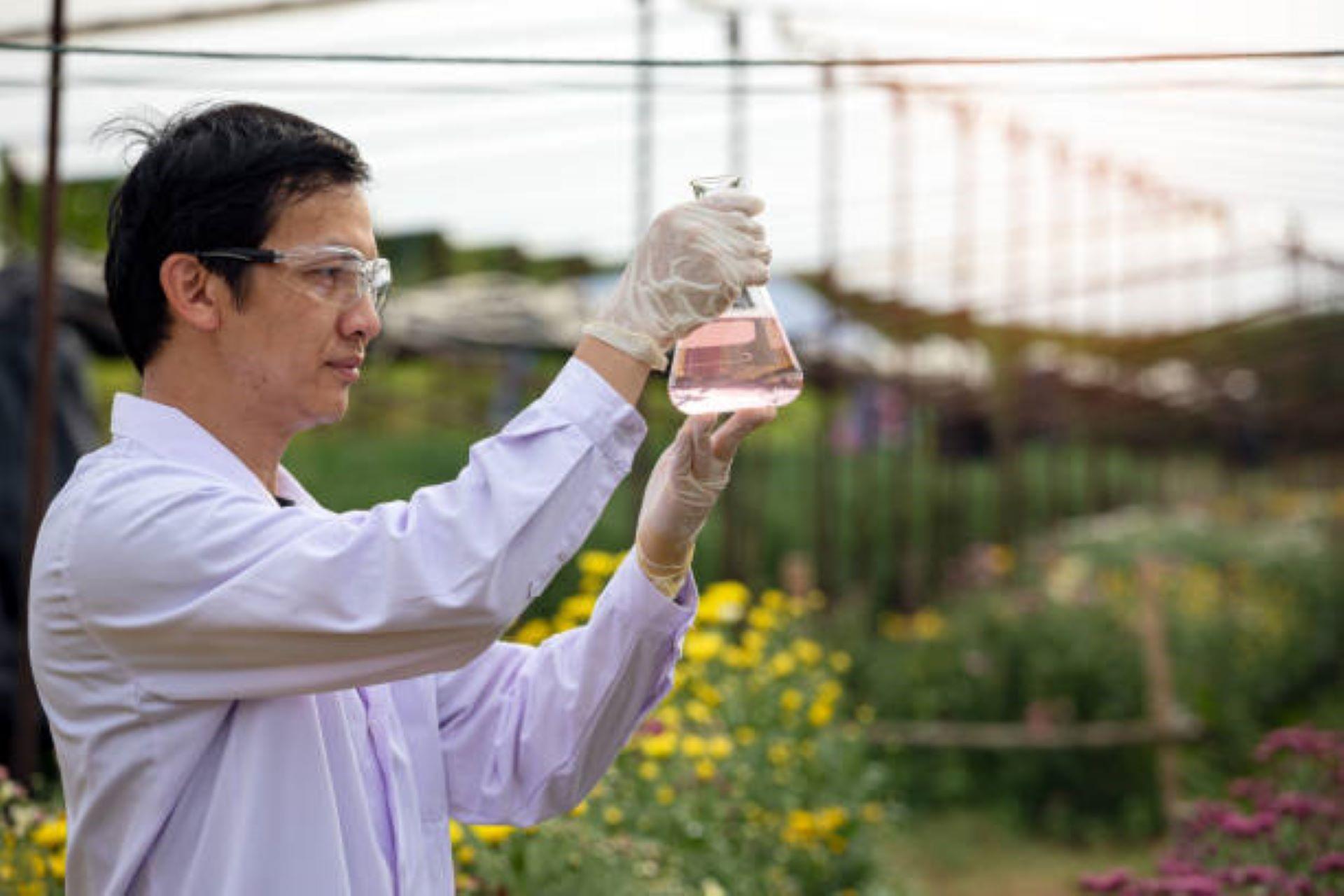 A scientist examining a solution in a test tube