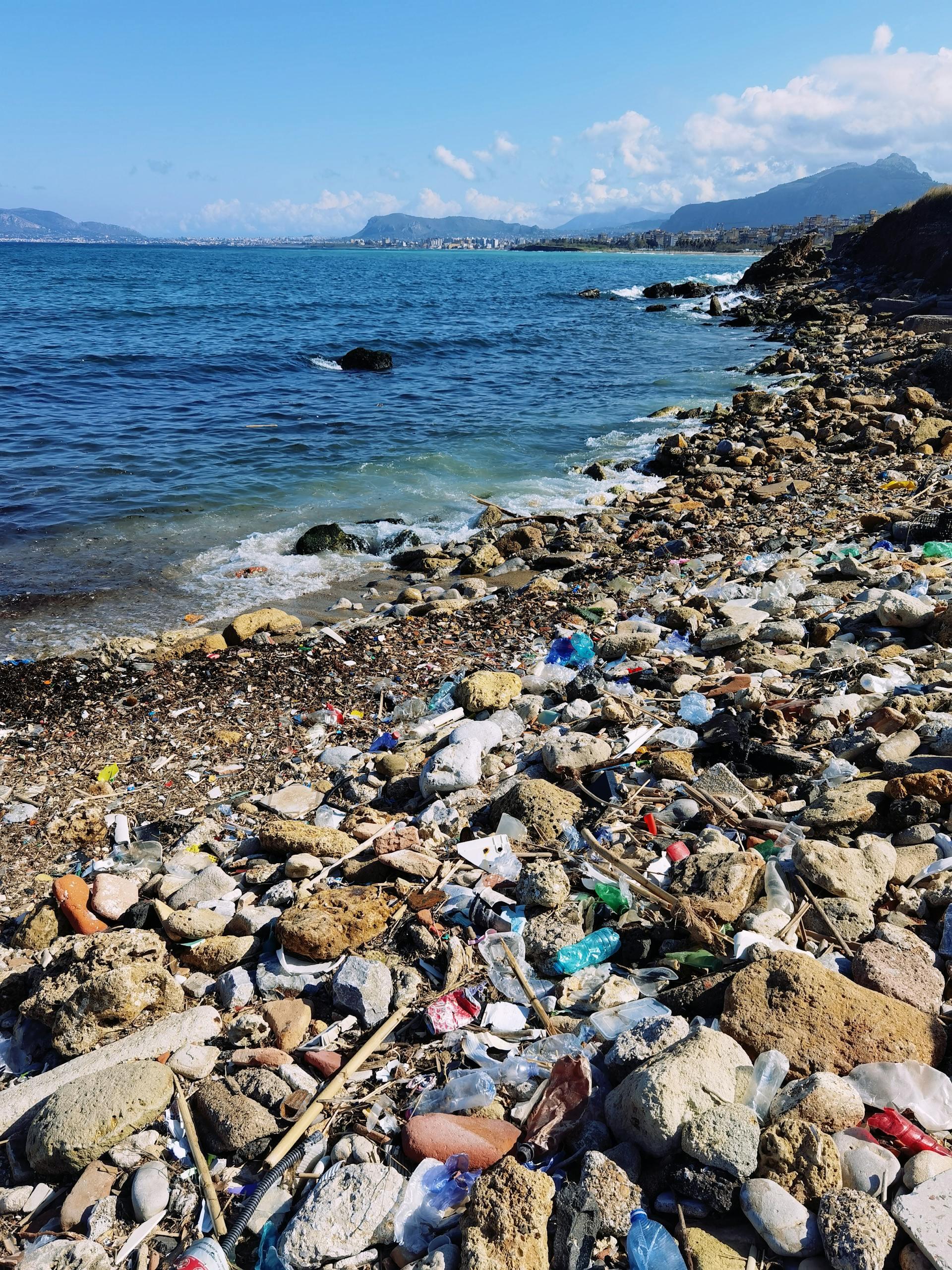 plastic bottles littering a beach